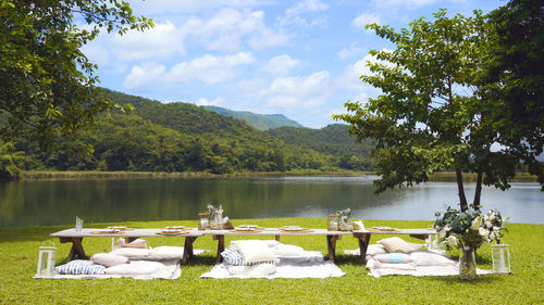View of swan in lake