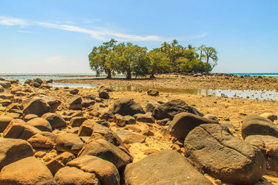 Scenic view of beach against sky