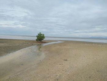 Scenic view of beach against sky