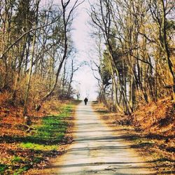 People walking on dirt road in forest