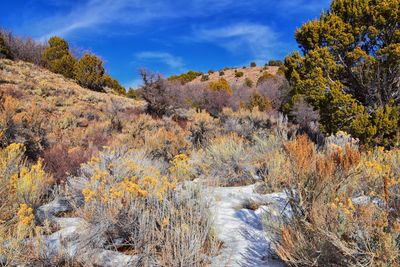 Winter snow mountain hiking trail views yellow fork park rose canyon copper mine salt lake city utah