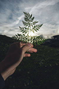 Midsection of person holding flowering plant against sky