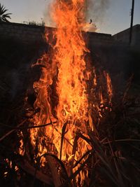 Bonfire on field