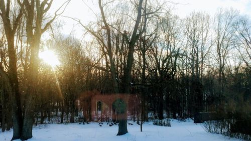 Bare trees on snow covered landscape