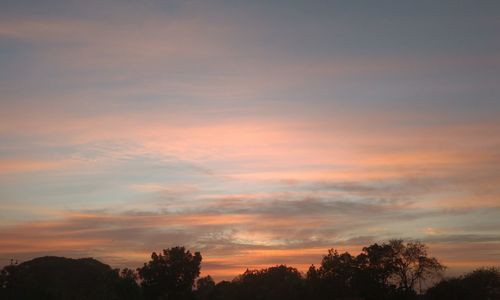 Low angle view of silhouette trees against sky at sunset