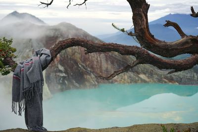 Scarf on branch against lake