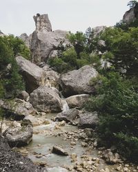 Rock formation amidst trees against sky