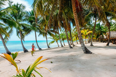 Palm trees on beach against sky