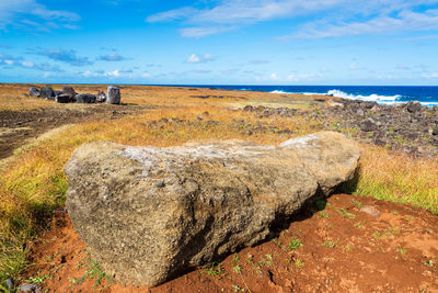 Rocks on field by sea against blue sky