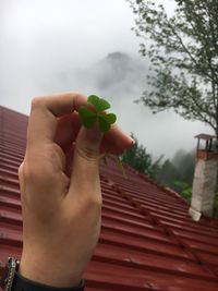 Cropped image of person holding plant against trees