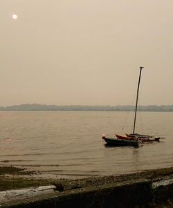 Sailboats moored on sea against sky