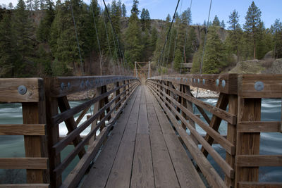 View of footbridge in forest