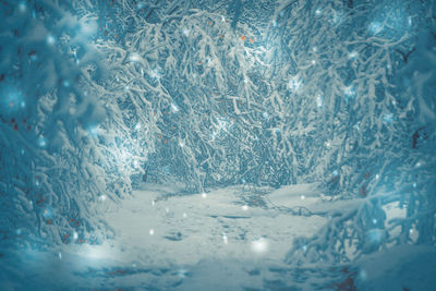 Close-up of snow on glass