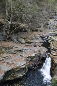 Stream flowing through rocks in forest