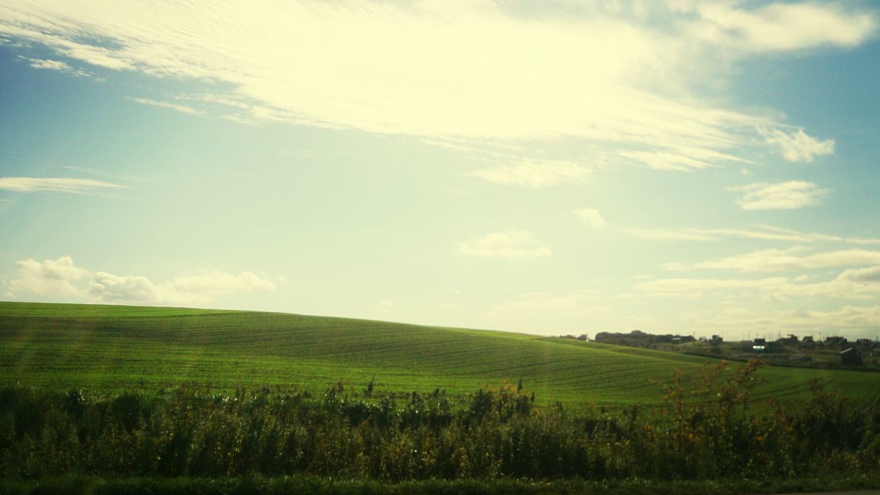 tranquil scene, field, landscape, tranquility, grass, sky, scenics, beauty in nature, growth, green color, nature, rural scene, agriculture, grassy, cloud - sky, tree, farm, idyllic, cloud, non-urban scene