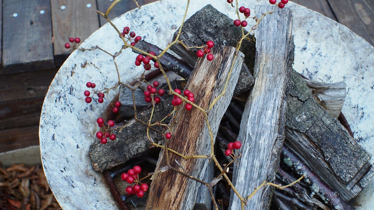 red, close-up, rusty, wall - building feature, wood - material, hanging, day, old, outdoors, no people, weathered, metal, abandoned, damaged, wooden, high angle view, wall, obsolete, plant, deterioration