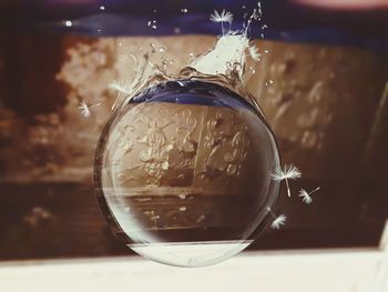 Close-up of drink in glass on table