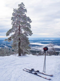 Snowy tree and skiing gear on top of a fell in lapland, finland