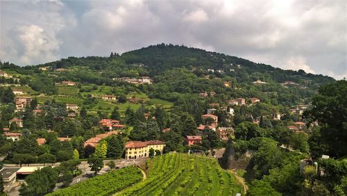 Scenic view of trees and buildings against sky