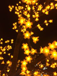 Close-up of illuminated christmas lights