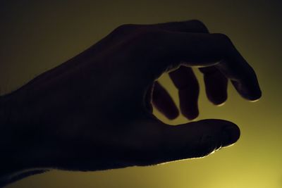 Close-up of hand against sky during sunset