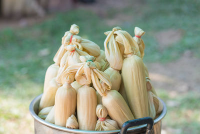 Close-up of garlic on field