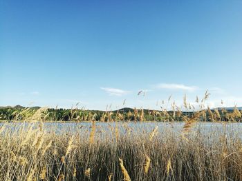 Scenic view of land against blue sky