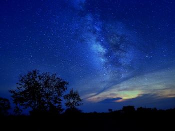 Low angle view of silhouette trees against sky at night