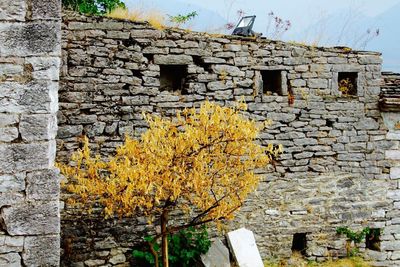 Brick wall with brick wall