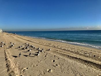 Scenic view of beach against clear blue sky