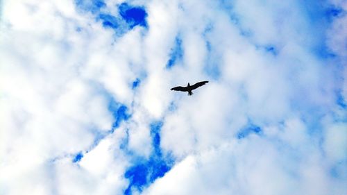 Low angle view of bird flying against cloudy sky