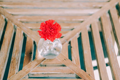 Close-up of red flower in pot on table