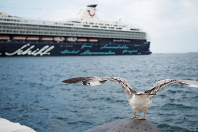 Seagull perching on bollard against ship in sea