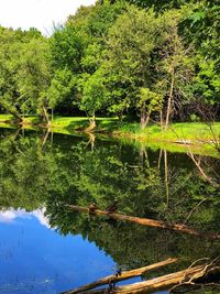 Scenic view of lake in forest against sky