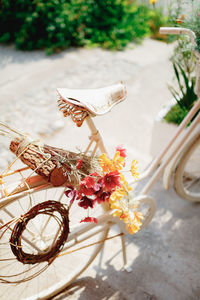 Close-up of red flower in basket on street