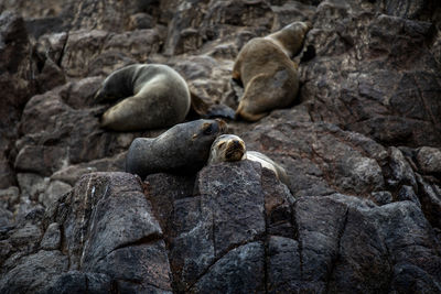 High angle view of rocks on rock