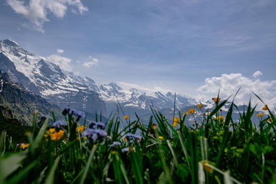 Scenic view of grassy field against cloudy sky