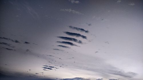 Low angle view of silhouette birds flying against sky