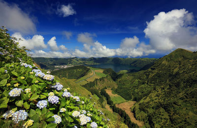 Scenic view of landscape against sky