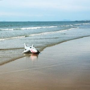 Inflatable toy on shore at beach