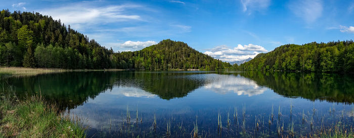 Scenic view of lake by trees against sky