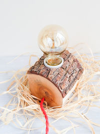 Close-up of light bulb on wood against white background