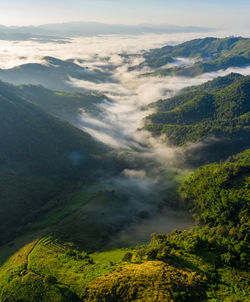 Panorama landscape nature aerial view at morning on the mountain fog chiang rai thailand