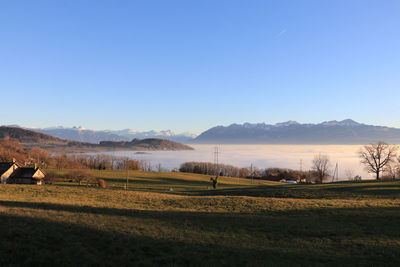 Scenic view of landscape against clear blue sky