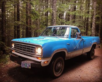 Vintage car against trees