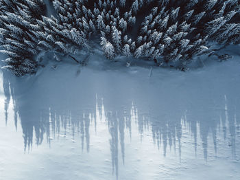 Trees on snow covered field 