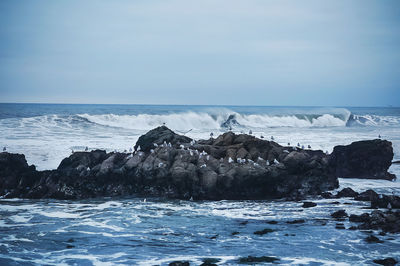 Scenic view of sea against sky