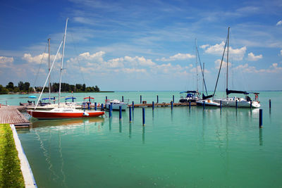 Sailboats in marina