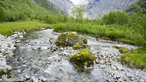 Scenic view of river flowing through rocks