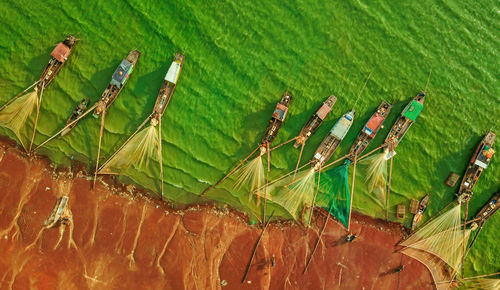 High angle view of palm tree leaves on field